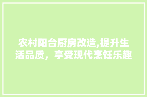 农村阳台厨房改造,提升生活品质，享受现代烹饪乐趣