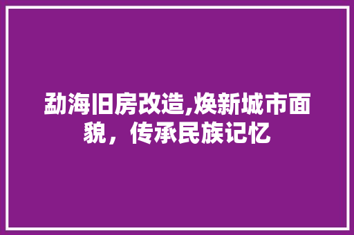勐海旧房改造,焕新城市面貌，传承民族记忆