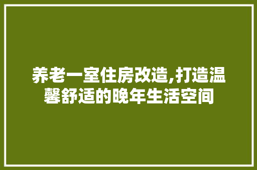 养老一室住房改造,打造温馨舒适的晚年生活空间