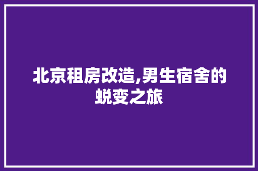 北京租房改造,男生宿舍的蜕变之旅