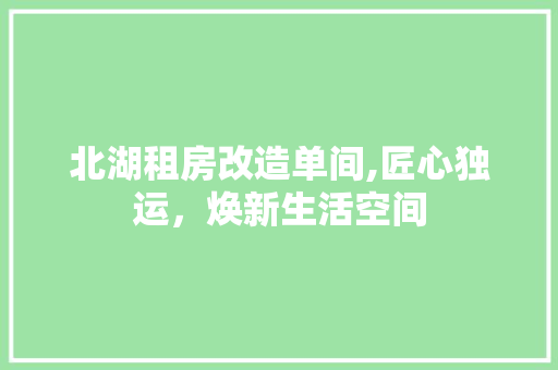 北湖租房改造单间,匠心独运，焕新生活空间