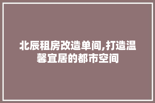 北辰租房改造单间,打造温馨宜居的都市空间