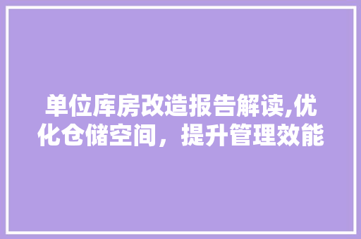 单位库房改造报告解读,优化仓储空间，提升管理效能
