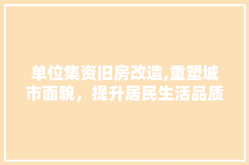 单位集资旧房改造,重塑城市面貌，提升居民生活品质 地面装修