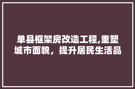 单县框架房改造工程,重塑城市面貌，提升居民生活品质