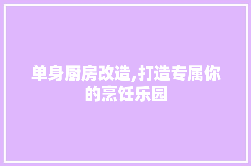 单身厨房改造,打造专属你的烹饪乐园 建筑设计