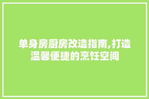 单身房厨房改造指南,打造温馨便捷的烹饪空间 隔断设计