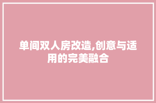 单间双人房改造,创意与适用的完美融合