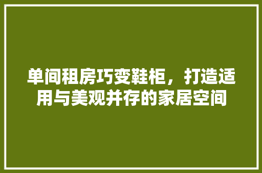 单间租房巧变鞋柜，打造适用与美观并存的家居空间