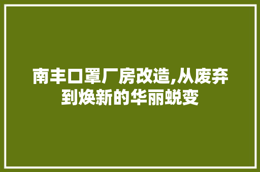 南丰口罩厂房改造,从废弃到焕新的华丽蜕变