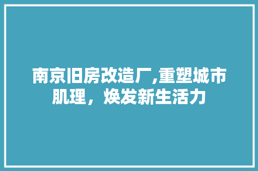 南京旧房改造厂,重塑城市肌理，焕发新生活力