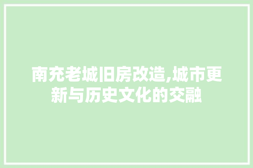 南充老城旧房改造,城市更新与历史文化的交融