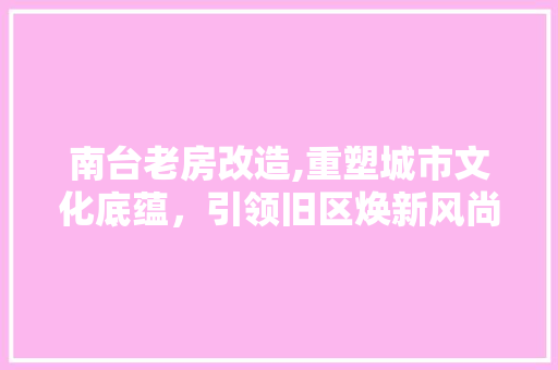 南台老房改造,重塑城市文化底蕴，引领旧区焕新风尚