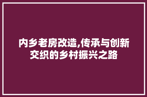 内乡老房改造,传承与创新交织的乡村振兴之路