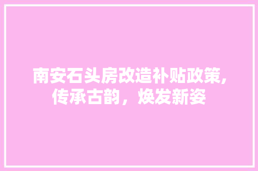 南安石头房改造补贴政策,传承古韵，焕发新姿