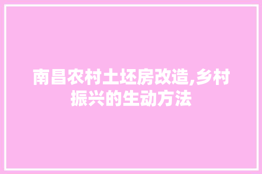 南昌农村土坯房改造,乡村振兴的生动方法