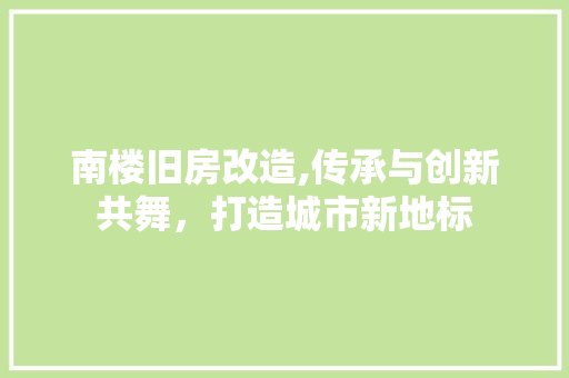 南楼旧房改造,传承与创新共舞，打造城市新地标