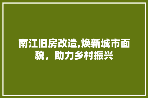 南江旧房改造,焕新城市面貌，助力乡村振兴