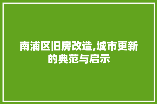 南浦区旧房改造,城市更新的典范与启示