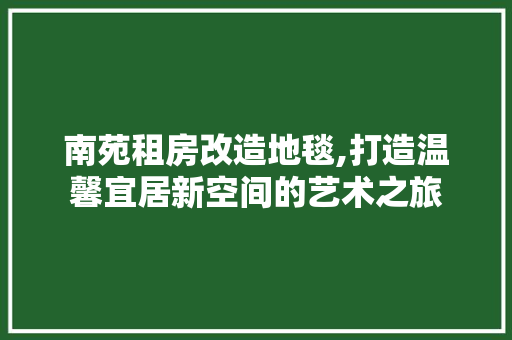 南苑租房改造地毯,打造温馨宜居新空间的艺术之旅