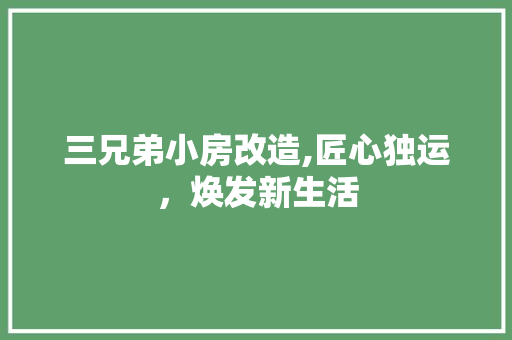 三兄弟小房改造,匠心独运，焕发新生活