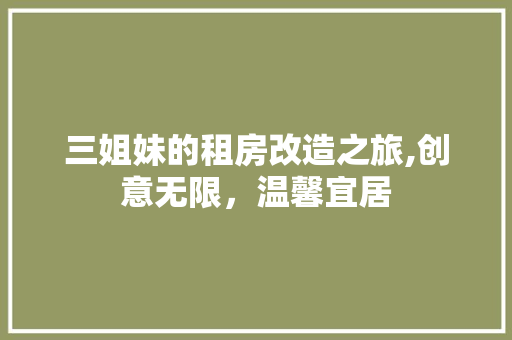 三姐妹的租房改造之旅,创意无限，温馨宜居