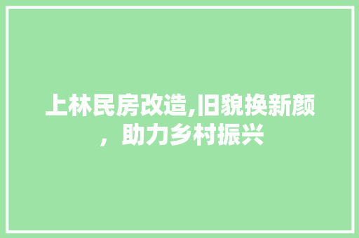 上林民房改造,旧貌换新颜，助力乡村振兴 建筑设计