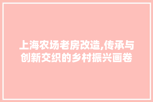 上海农场老房改造,传承与创新交织的乡村振兴画卷