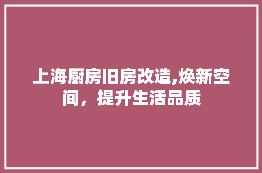 上海厨房旧房改造,焕新空间，提升生活品质