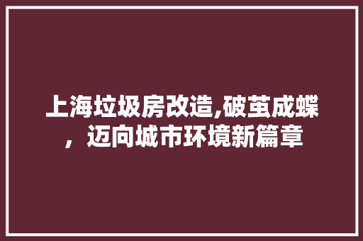 上海垃圾房改造,破茧成蝶，迈向城市环境新篇章