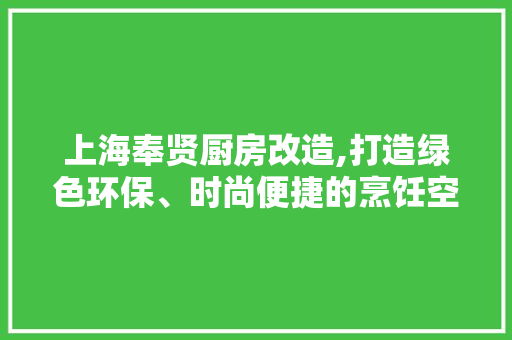 上海奉贤厨房改造,打造绿色环保、时尚便捷的烹饪空间