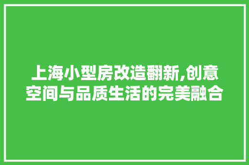 上海小型房改造翻新,创意空间与品质生活的完美融合