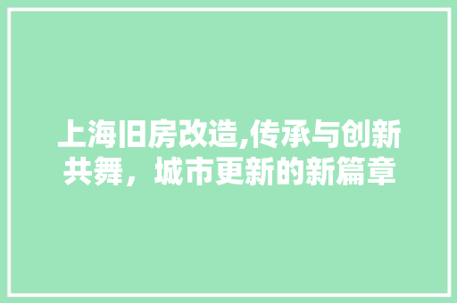 上海旧房改造,传承与创新共舞，城市更新的新篇章 景观设计
