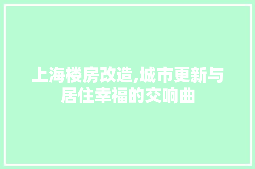上海楼房改造,城市更新与居住幸福的交响曲