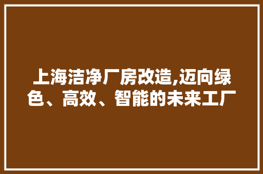 上海洁净厂房改造,迈向绿色、高效、智能的未来工厂