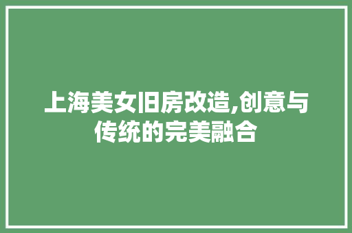 上海美女旧房改造,创意与传统的完美融合