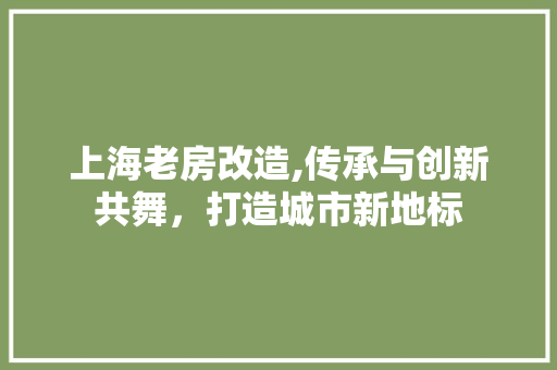 上海老房改造,传承与创新共舞，打造城市新地标
