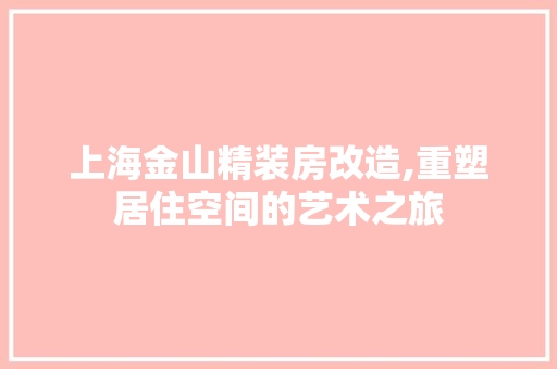 上海金山精装房改造,重塑居住空间的艺术之旅