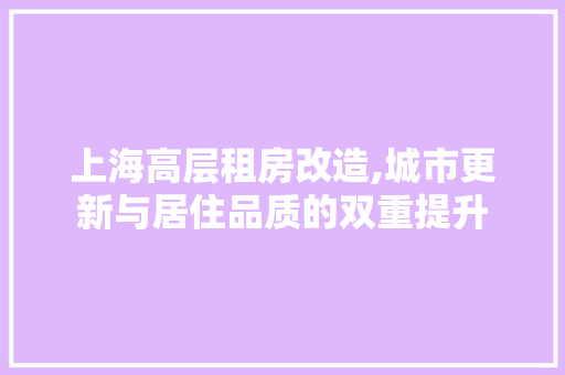 上海高层租房改造,城市更新与居住品质的双重提升