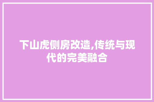 下山虎侧房改造,传统与现代的完美融合