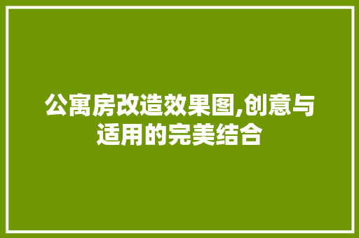 公寓房改造效果图,创意与适用的完美结合