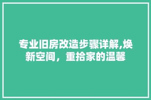 专业旧房改造步骤详解,焕新空间，重拾家的温馨