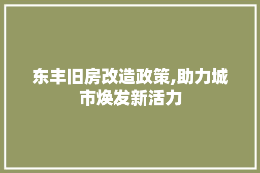 东丰旧房改造政策,助力城市焕发新活力