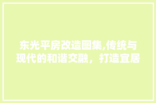 东光平房改造图集,传统与现代的和谐交融，打造宜居新空间