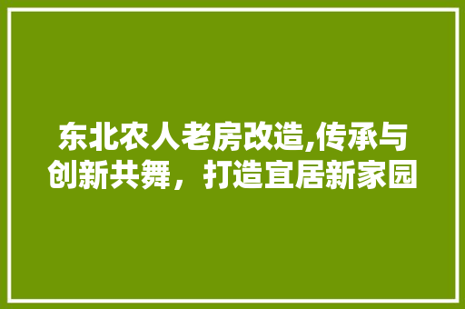 东北农人老房改造,传承与创新共舞，打造宜居新家园