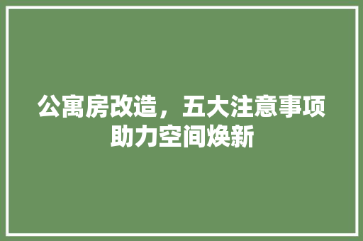 公寓房改造，五大注意事项助力空间焕新