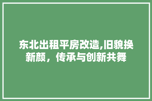 东北出租平房改造,旧貌换新颜，传承与创新共舞