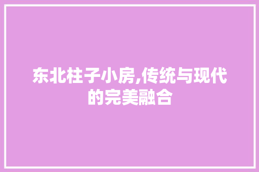东北柱子小房,传统与现代的完美融合