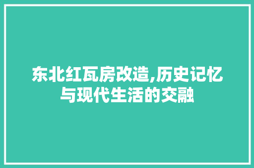 东北红瓦房改造,历史记忆与现代生活的交融