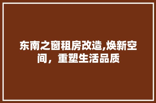 东南之窗租房改造,焕新空间，重塑生活品质
